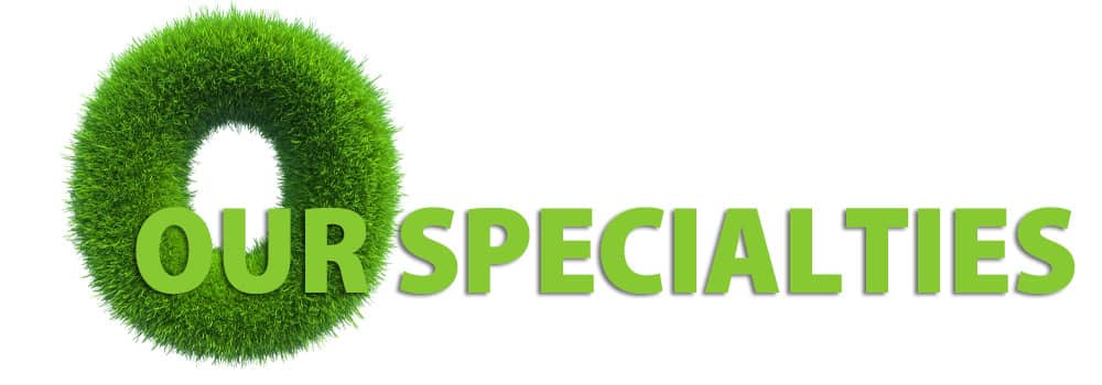 our-specialties